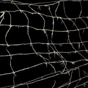 Meet your Posher, Noah